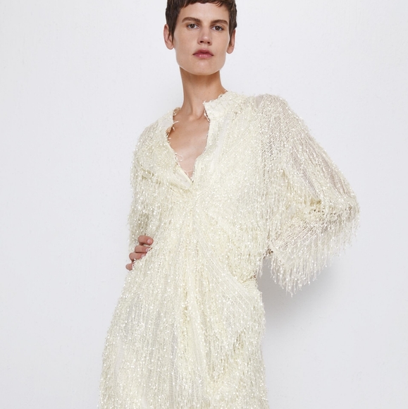 Zara Dresses & Skirts - Zara | fringe textured dress